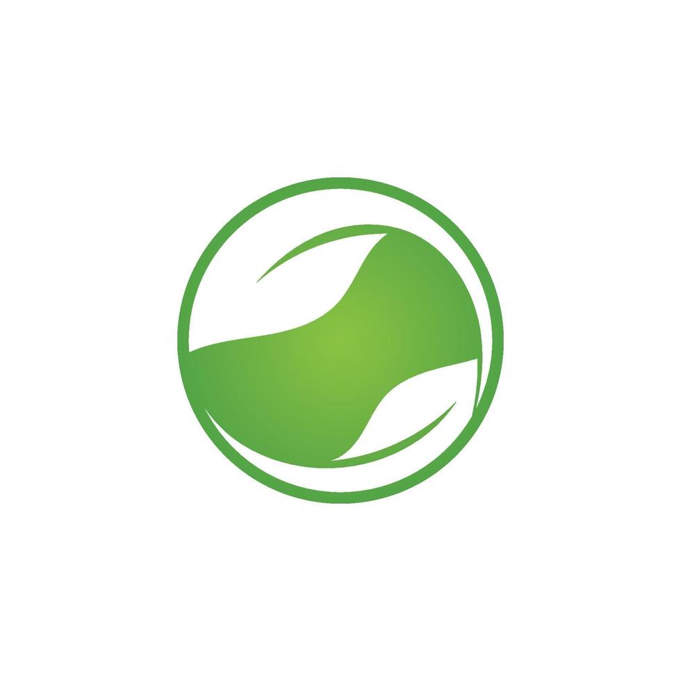 logotipos de la ecología de la hoja del árbol verde vector