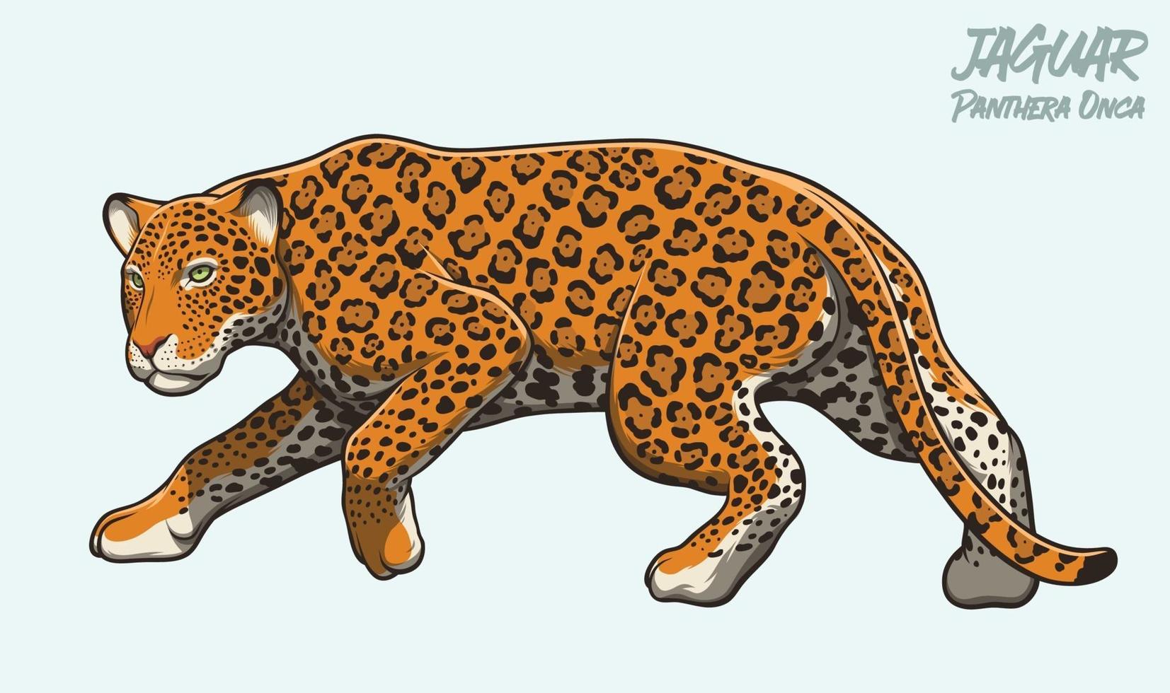 Jaguar Lurking Illustration vector