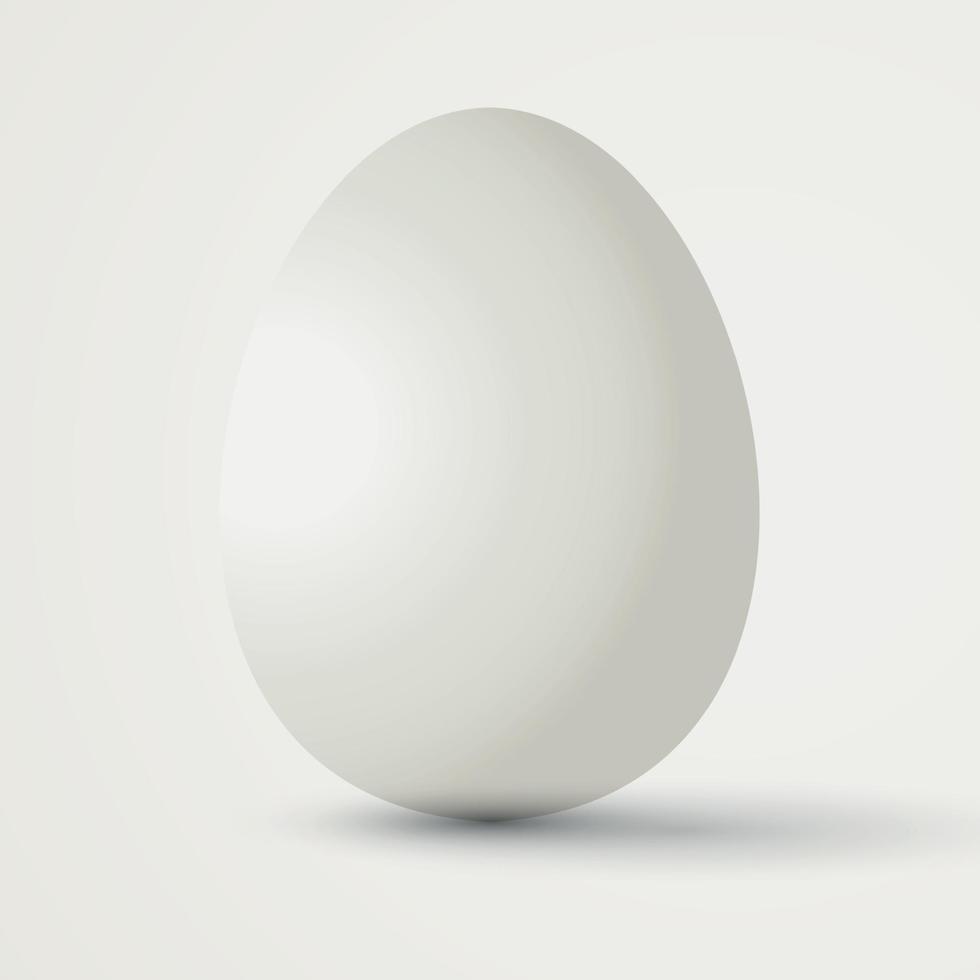 Big realistic white chicken egg with shadow on white background - Vector illustration