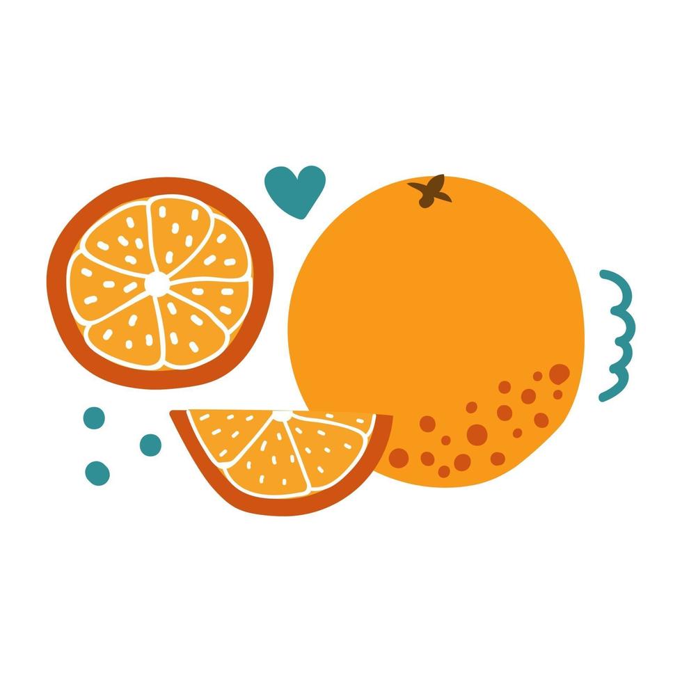 Hand drawn orange, citrus fruit, flat illustration. vector