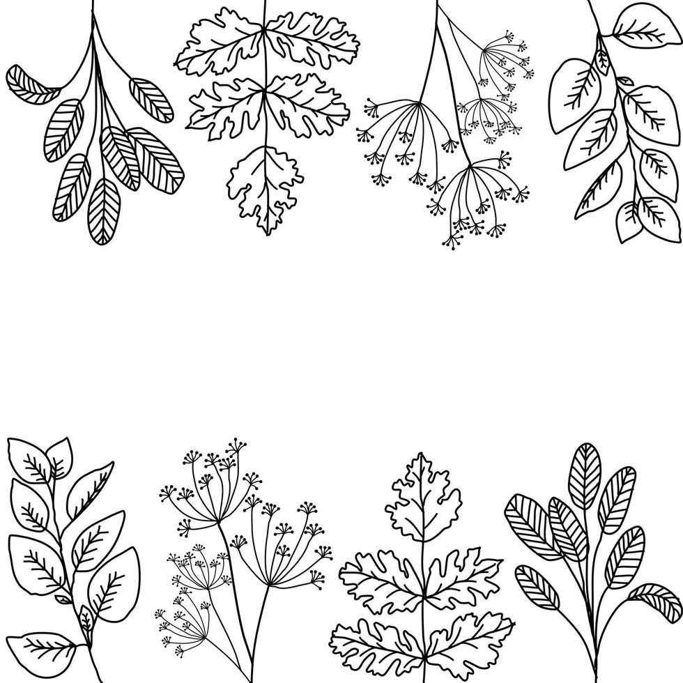 Leaf Outline Background vector