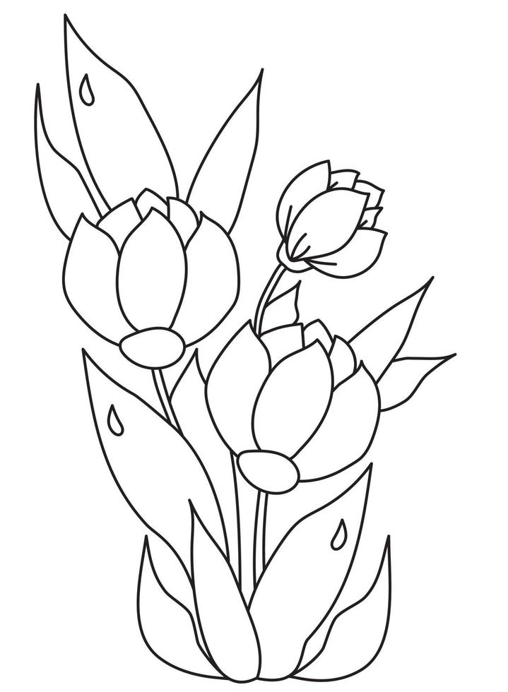 ramo de hermosas flores de primavera con hojas con gotas de rocío. dibujo vectorial. línea negra, contorno sobre un fondo blanco. Planta de tulipán para impresión, decoración y diseño. vector