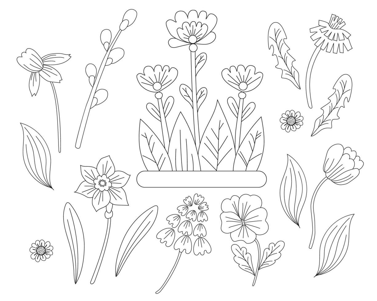 Spring flowers set - chamomile, daffodil, tulip, dandelion, violet and pussy willow. Vector drawing. Black line, outline. Ornamental first plants for printing, decor, design, decoration and postcards