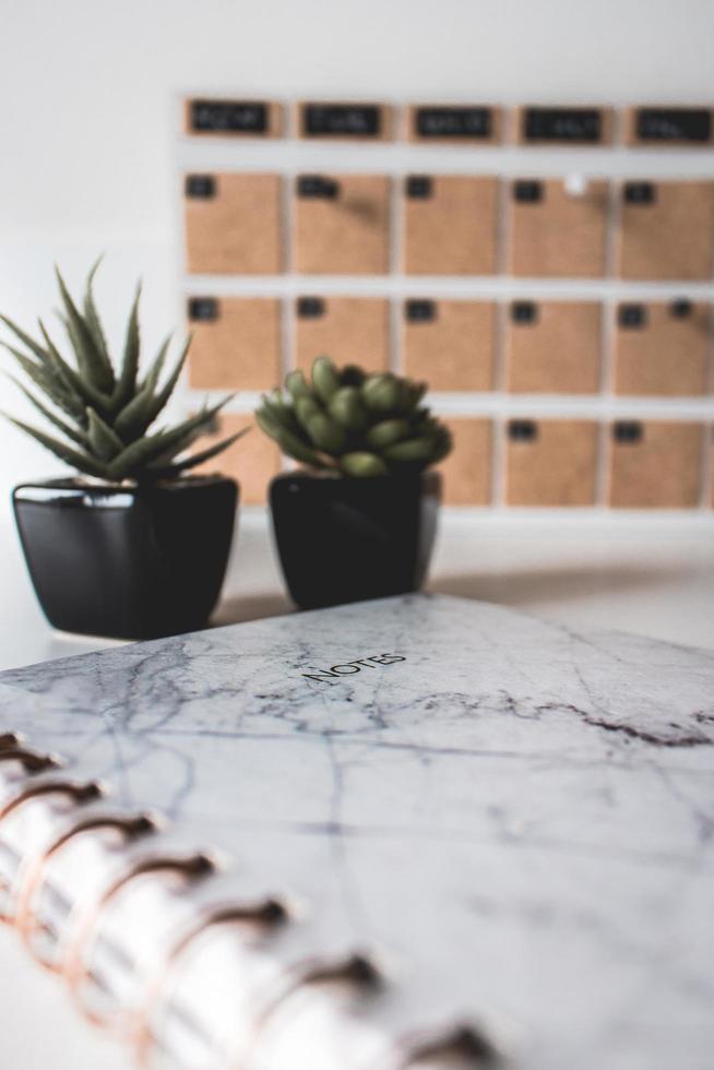 cuaderno con dos plantas foto