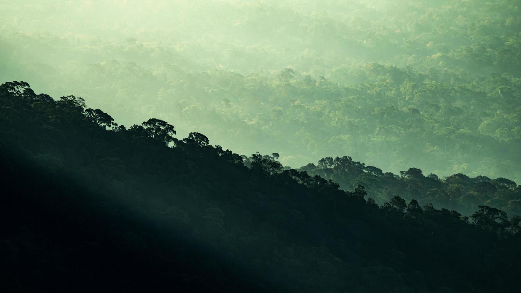 Tropical forest mountains photo