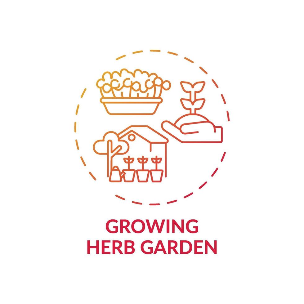 Growing herb garden concept icon vector