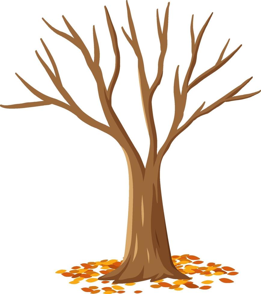 Isolated autumn tree on white background vector