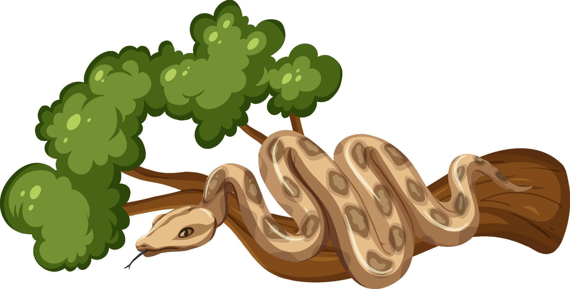 Serpiente en una rama aislada sobre fondo blanco. vector