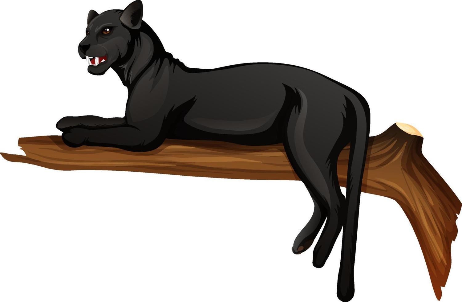 Black panther lying on a branch on white background vector