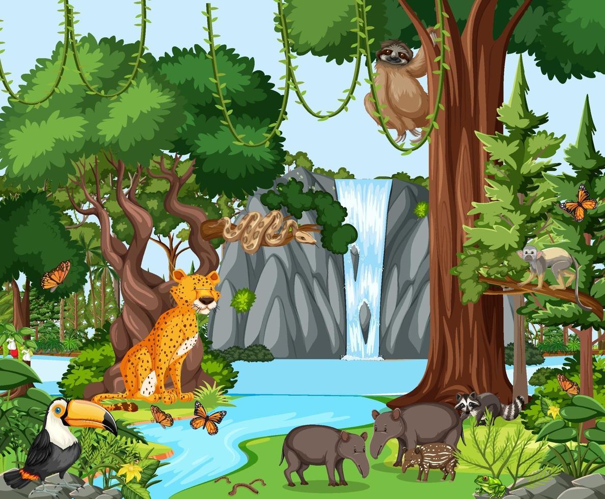 Rainforest scene with wild animals vector