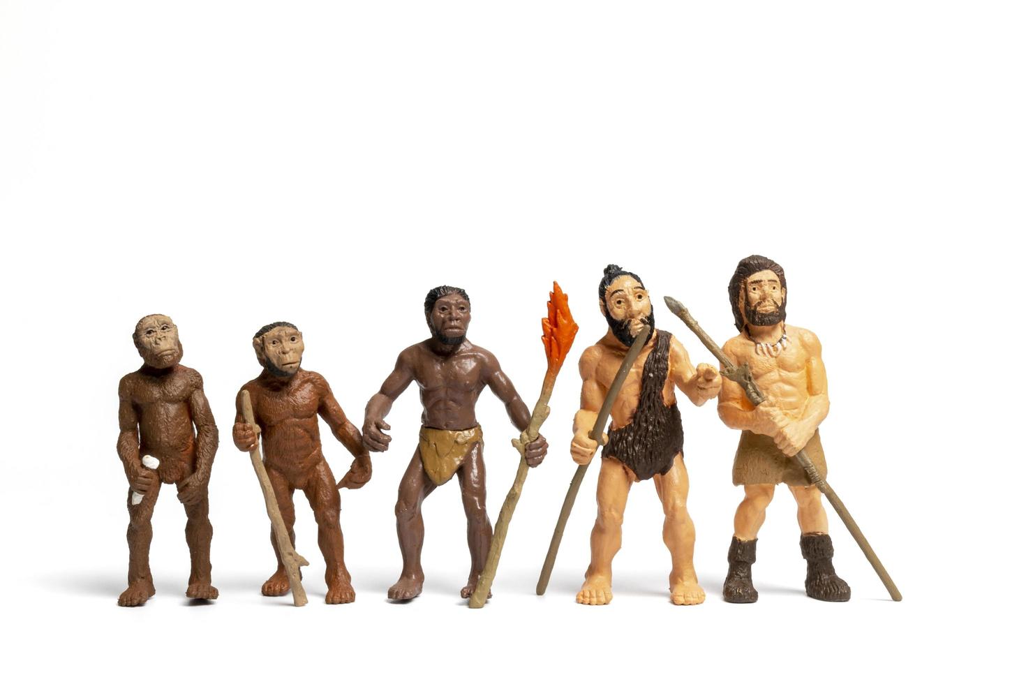 Historic human evolution of man holding weapons from primates, Neanderthal, to Homo sapiens photo