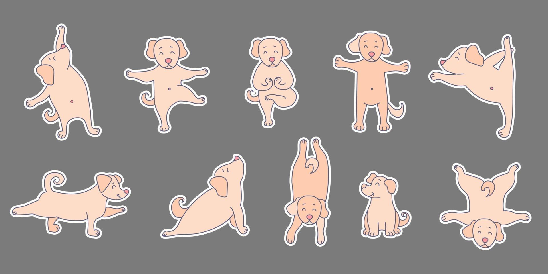 mascotas de yoga. juego de pegatinas perro yoga. lindos cachorros se ponen de pie asana, meditan y practican deportes. ilustración vectorial vector