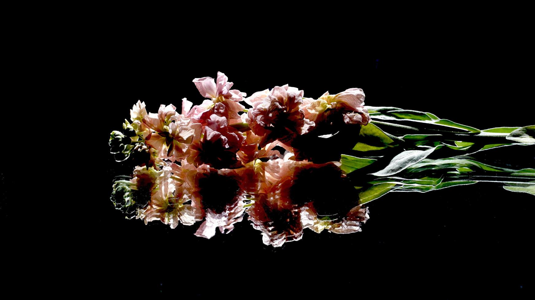 flores reflejadas sobre un fondo negro foto