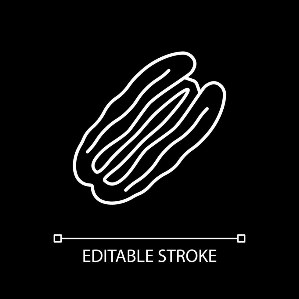 Pecan nut white linear icon for dark theme vector