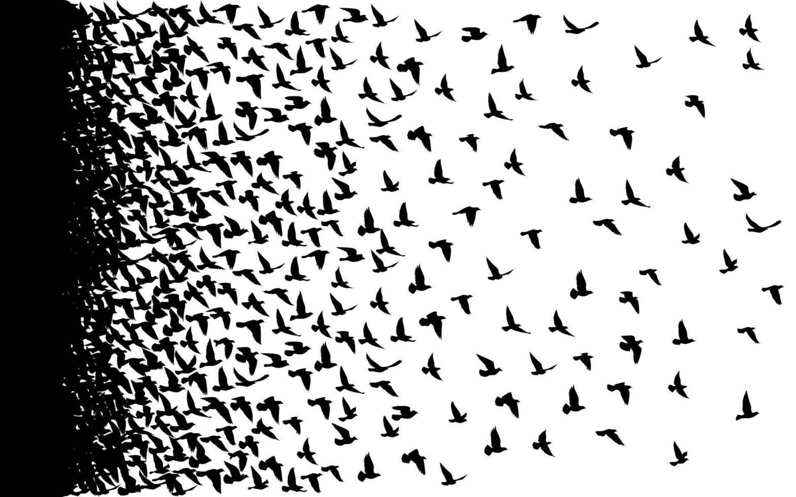 Flying birds silhouettes on white background. Vector illustration. isolated bird flying. tattoo design.