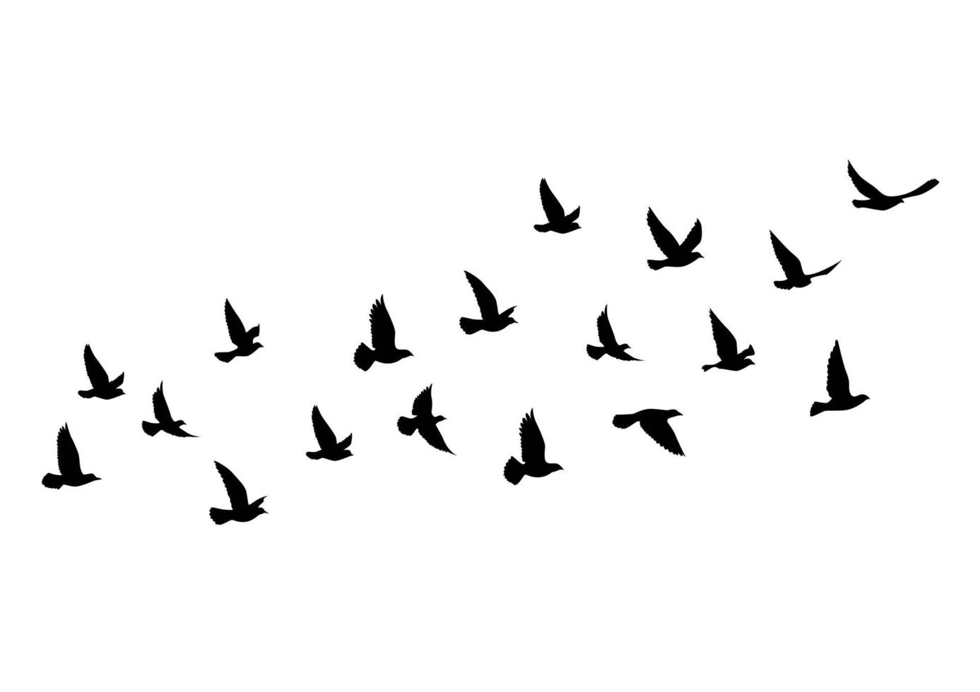 siluetas de aves voladoras sobre fondo blanco. ilustración vectorial. vuelo de pájaro aislado. diseño de tatuaje. vector