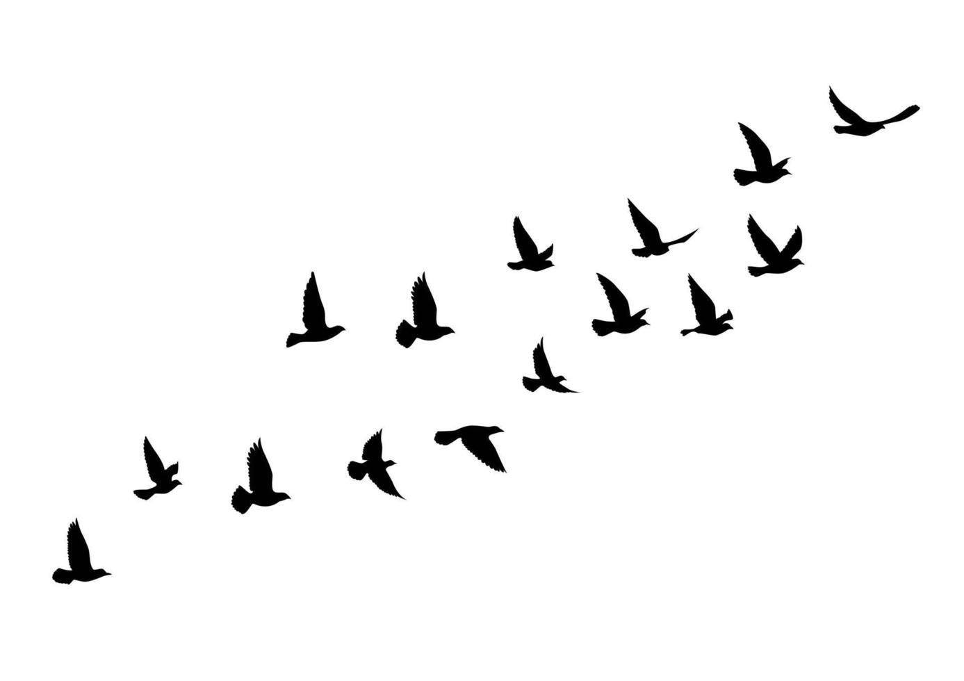 Flying birds silhouettes on white background. Vector illustration. isolated bird flying. tattoo design.