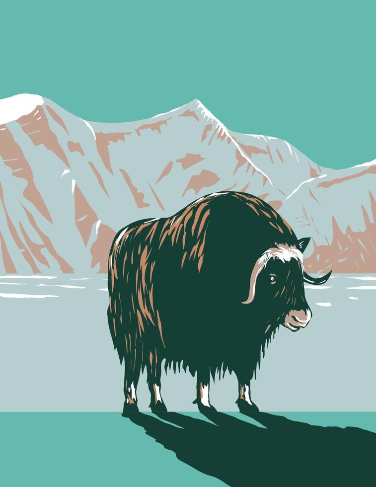 buey almizclero o buey almizclero en invierno en el cabo krusenstern monumento nacional en el noroeste de alaska wpa poster art vector