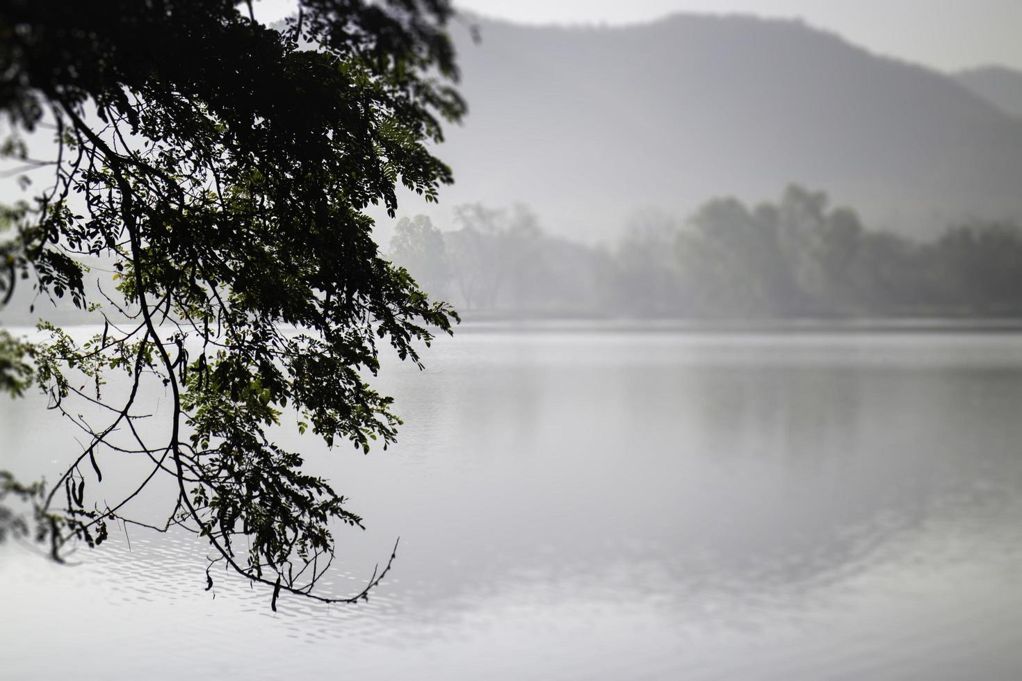 vista de un lago al amanecer foto