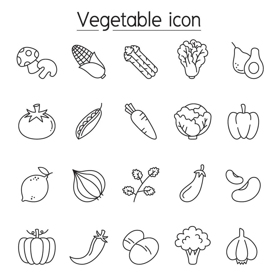 Vegetable icon set in thin line style vector