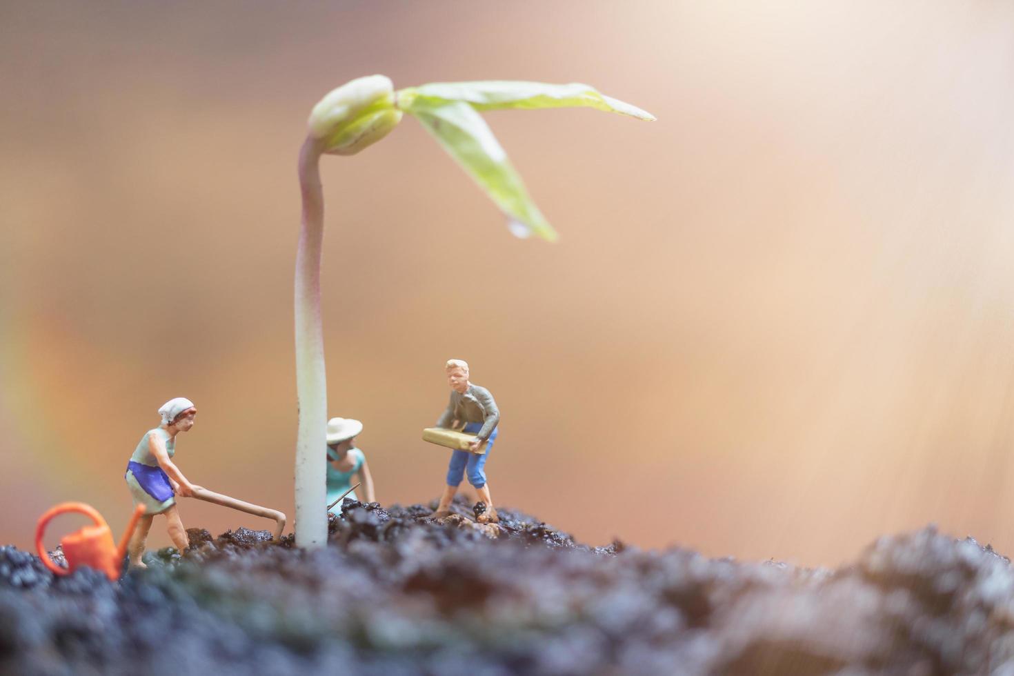 Jardineros en miniatura cuidando el cultivo de brotes en un campo, concepto de medio ambiente foto