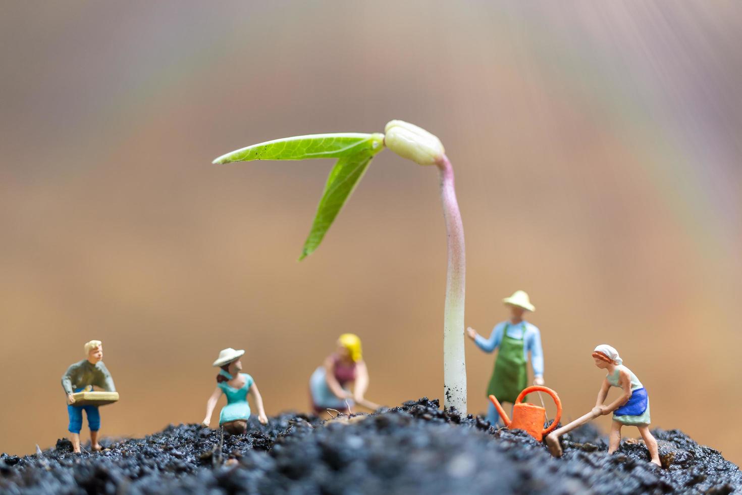 Jardineros en miniatura cuidando el cultivo de brotes en un campo, concepto de medio ambiente foto