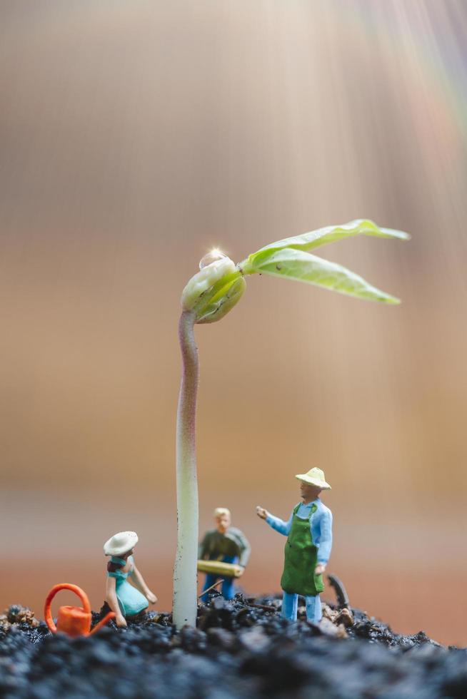 Jardineros en miniatura cuidando el cultivo de brotes en un campo, concepto de medio ambiente foto