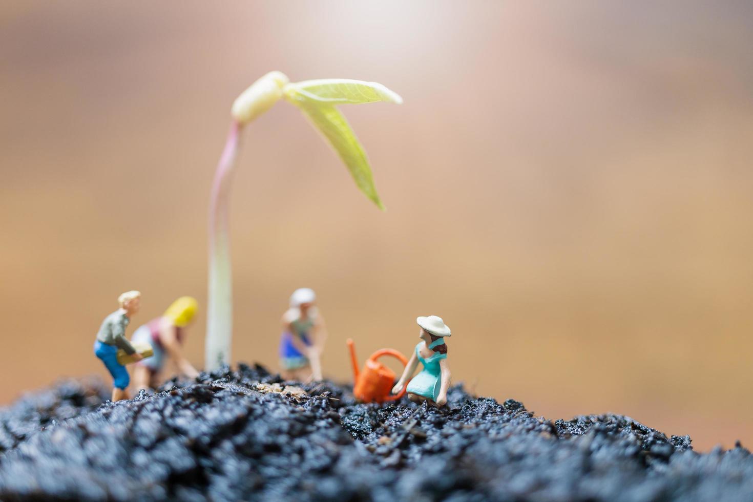 Jardineros en miniatura cuidando el cultivo de brotes en un campo, concepto de medio ambiente foto