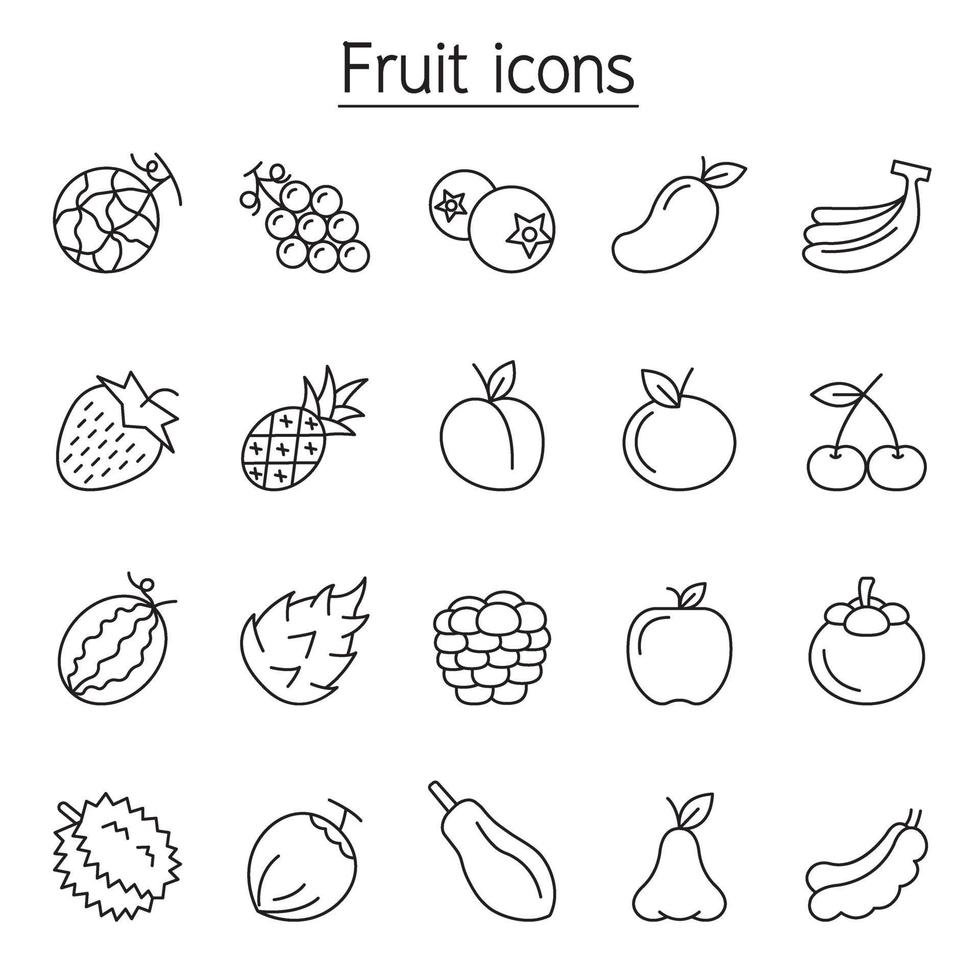 Fruit icon set in thin line style vector