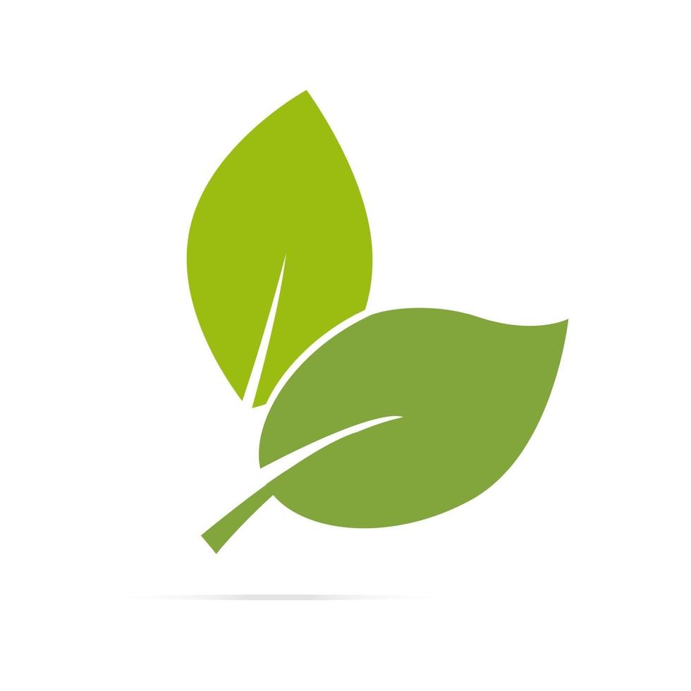 Leaf logo organic Label eco icon vector isolated background.