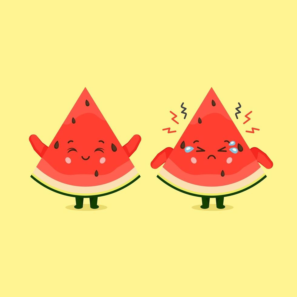 Cute Watermelon Characters Smiling and Sad vector