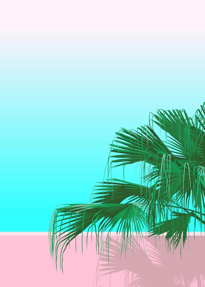 Areca palm isolated on pastel pink and blue background vector