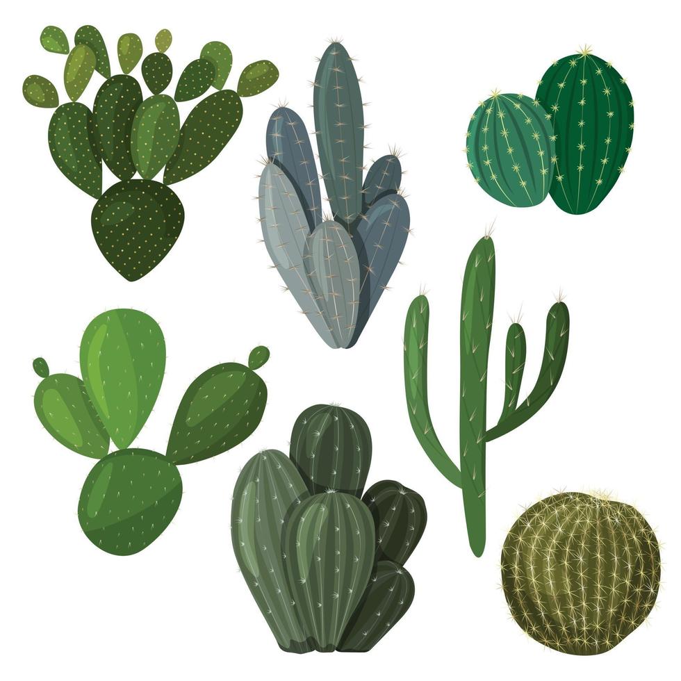 un conjunto de cactus. imagen vectorial en un estilo plano. una colorida colección de cactus de interior. vector