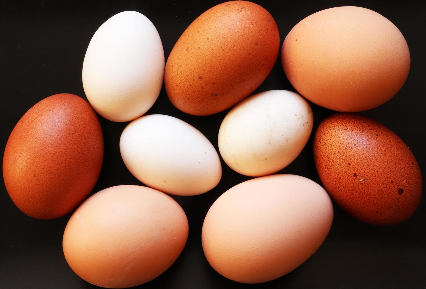 Brown and white eggs on black background photo