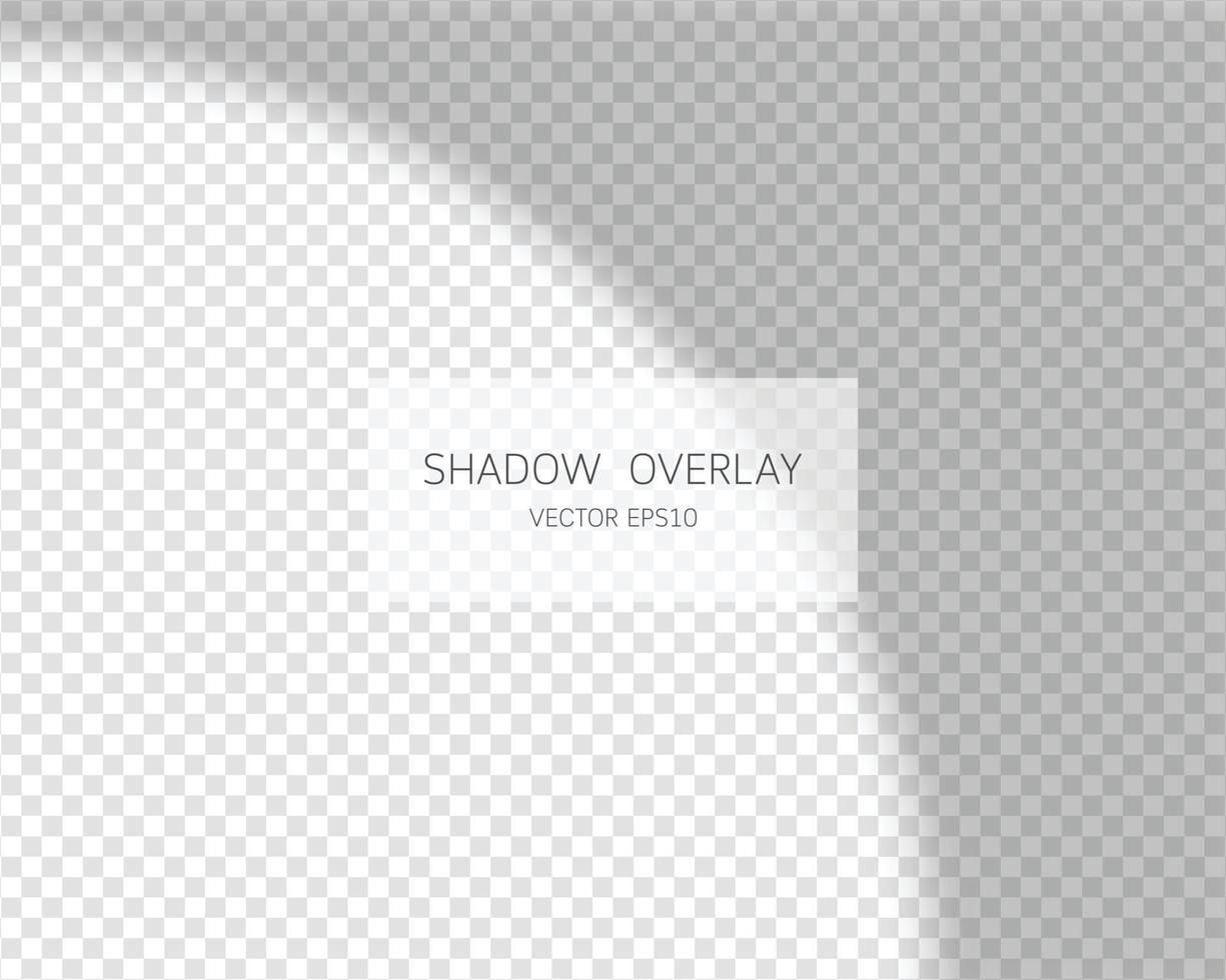 Shadow overlay effect. Natural shadows from window isolated. vector