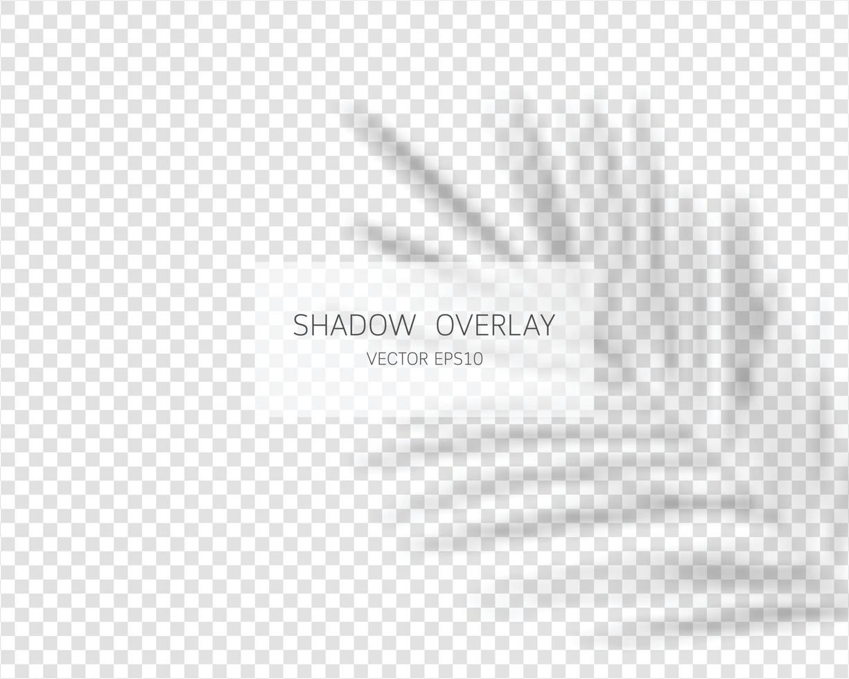 Shadow overlay effect. Natural shadows isolated vector