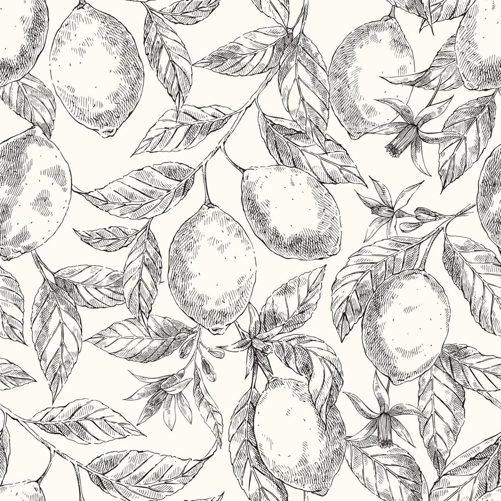 Lemons hand drawn vector seamless sketch pattern