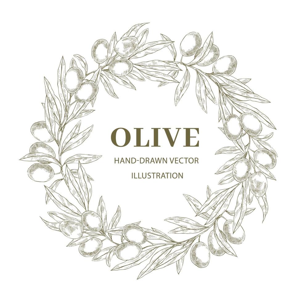 Wreath with olive branches vector