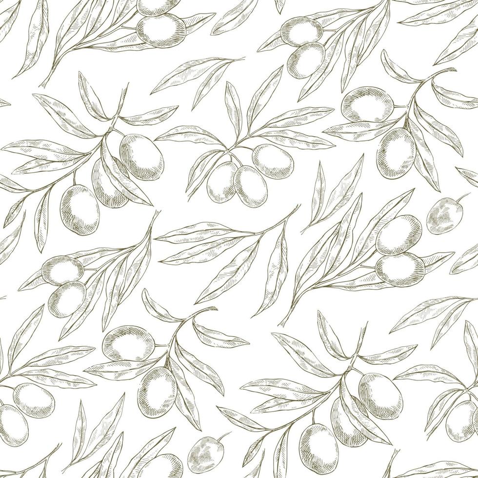 Olive Sketch pattern vector