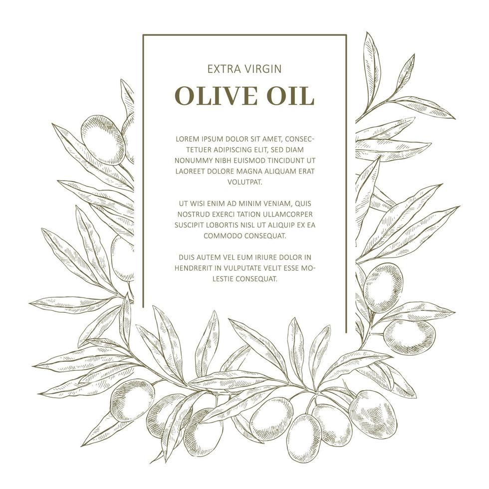 Olive Oil Label template 2139925 Vector Art at Vecteezy olive-oil-label-template-2139925-vector-art-at-vecteezy