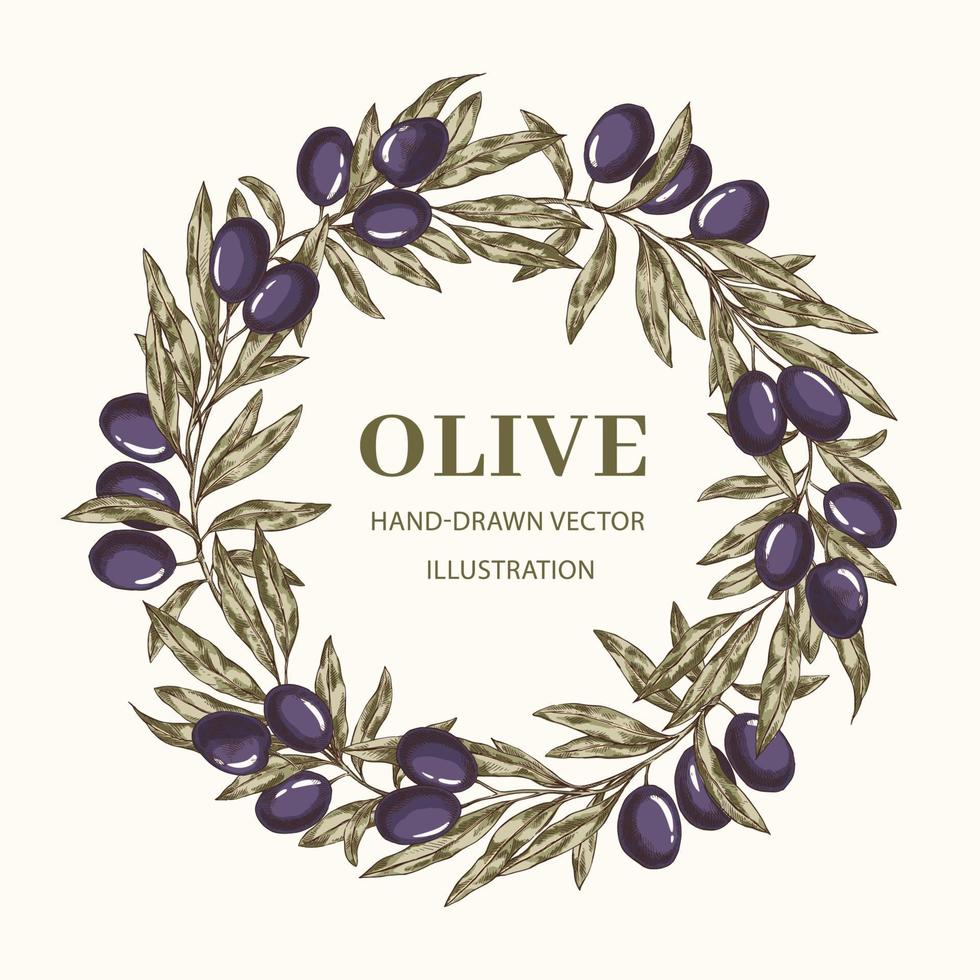 Wreath with olive branches vector