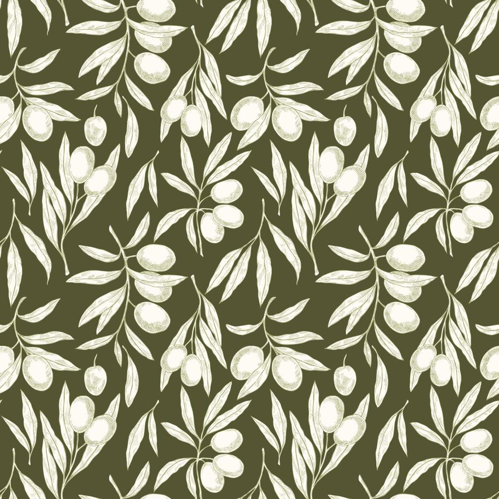 Seamless pattern with Olive branches vector