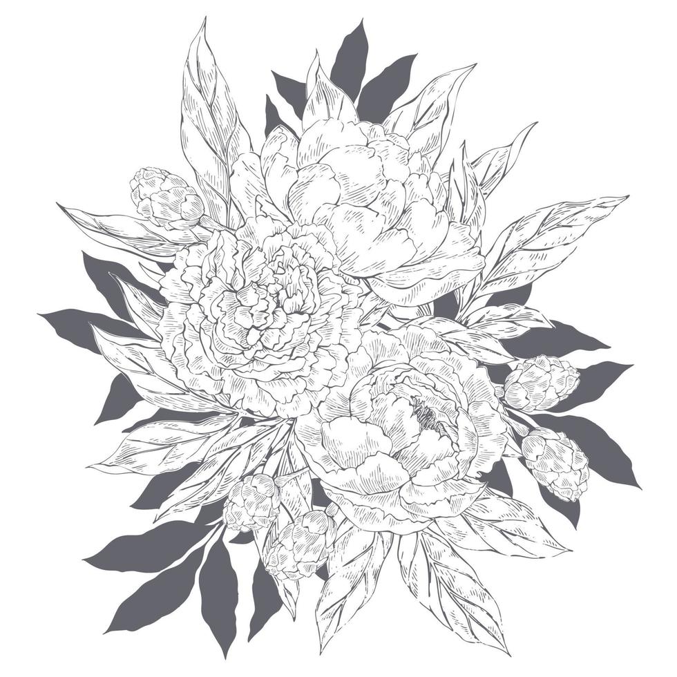 Decorative peonies bouquet vector