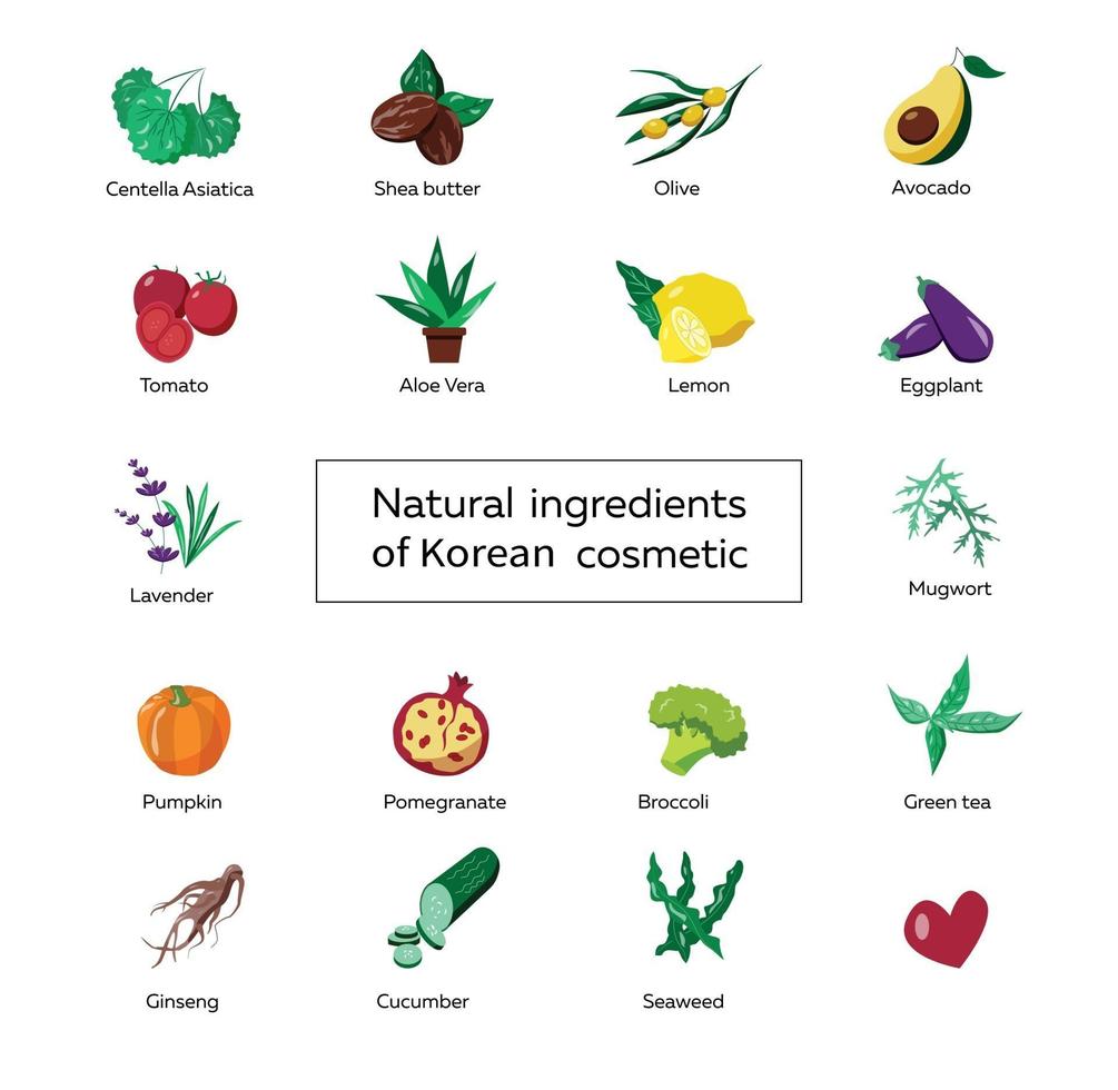 set of icons about natural ingredients in cosmetics, color vector drawing of centella, aloe, lemon, pomegranate, avocado, cucumber, wormwood, eggplant, lavender, tomato, pumpkin, broccoli, ginseng, olive, green tea