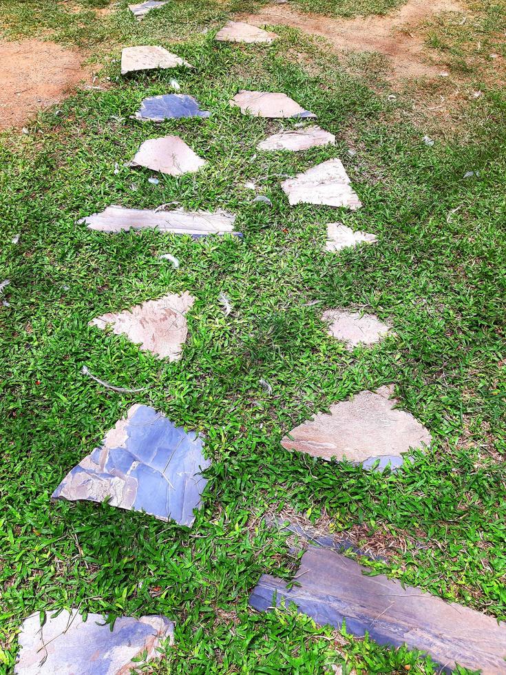 Pasarela de piedra serpenteante en el jardín. foto