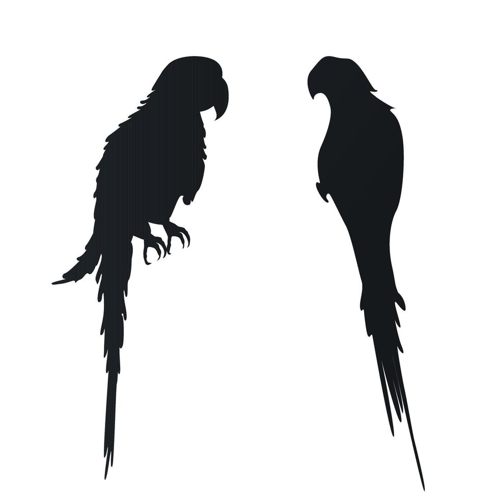 Vector flat illustration with silhouettes of parrots on a white background