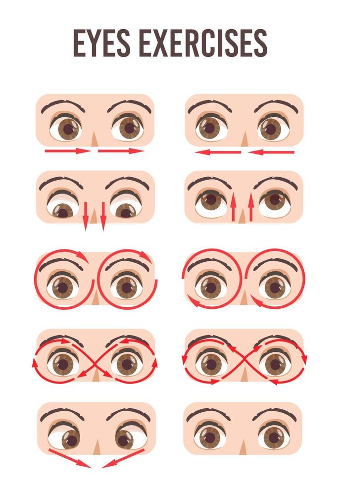 juego de ejercicios para los ojos. movimiento para la relajación de los ojos. globo ocular, pestañas y cejas. vector