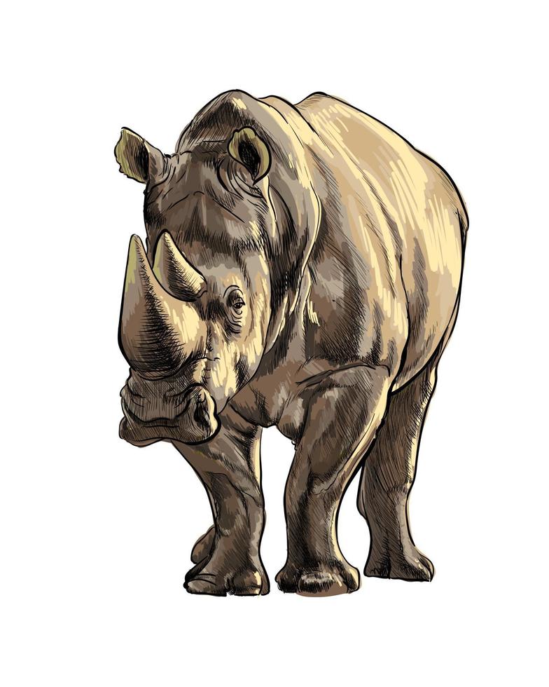 Rhinoceros from a splash of watercolor, colored drawing, realistic. Vector illustration of paints