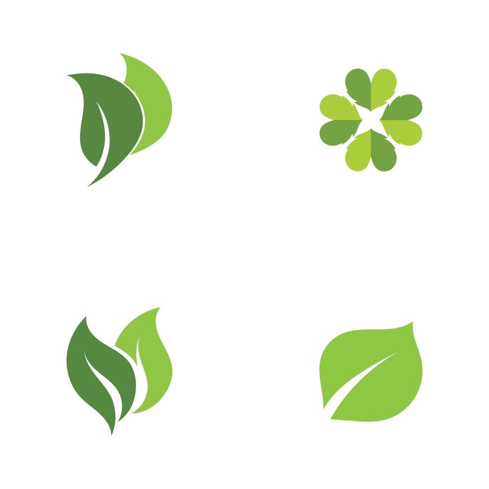 logotipos de la ecología de la hoja del árbol verde vector