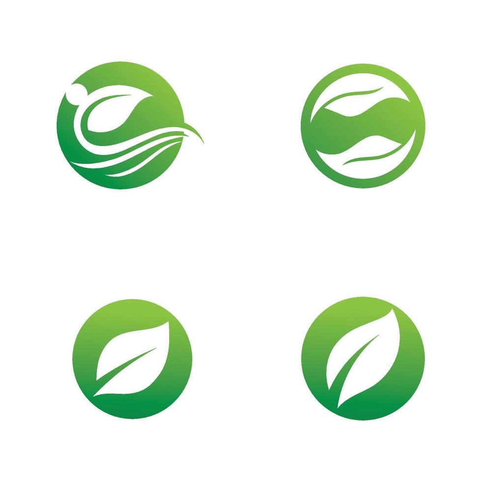 Logos of green Tree leaf ecology vector